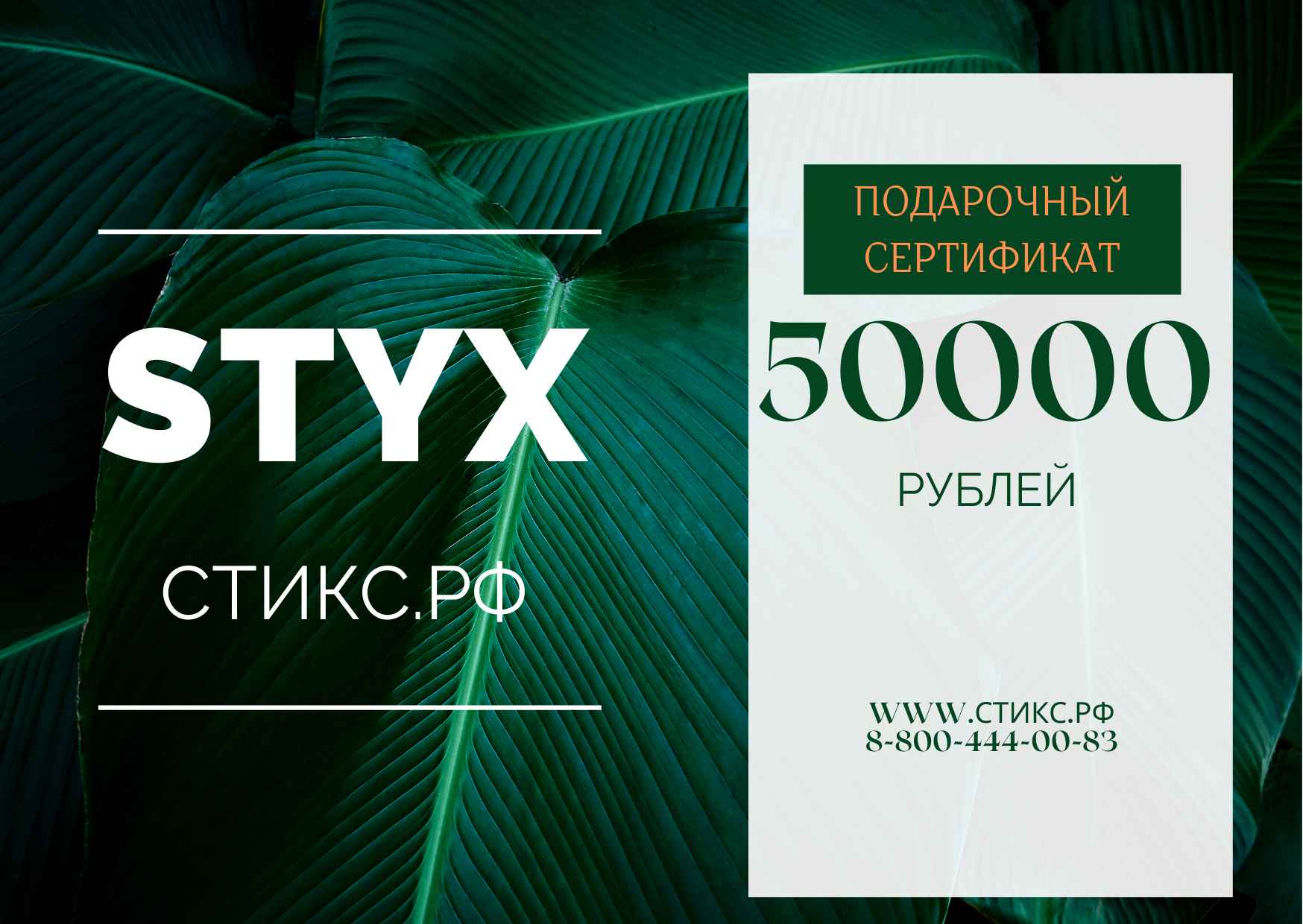 СЕРТИФИКАТ НА 50000 р - купить по выгодной цене - СТИКС.РФ